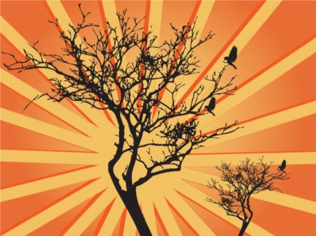 Tree Sunburst Graphics vector