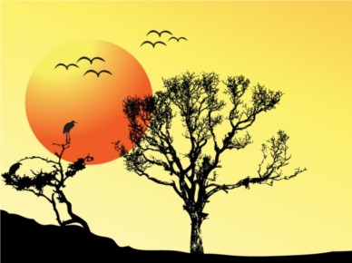 Tree Sunset Background creative vector
