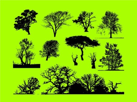 Trees Graphics design vectors