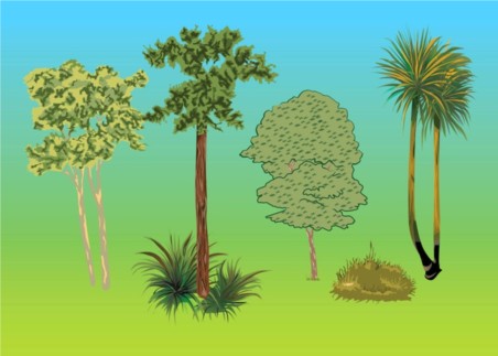 Trees Plants vector