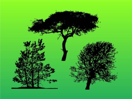 Trees Trace vector