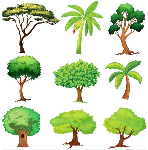 Trees graphic vector