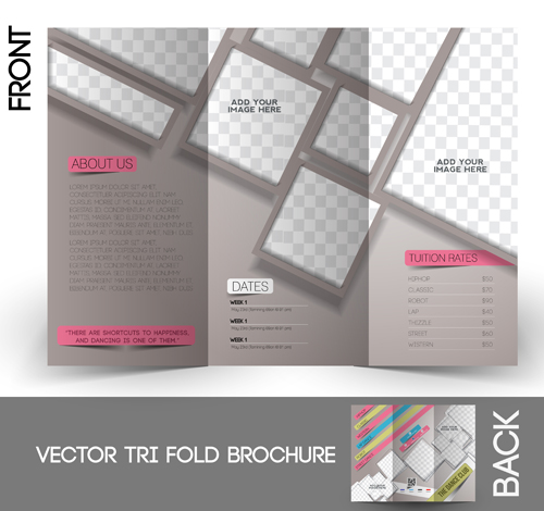 Tri Fold brochure cover 3 vector graphic