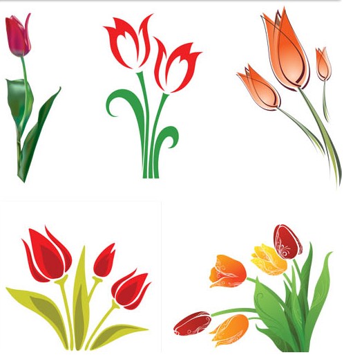 Tulips graphic vector