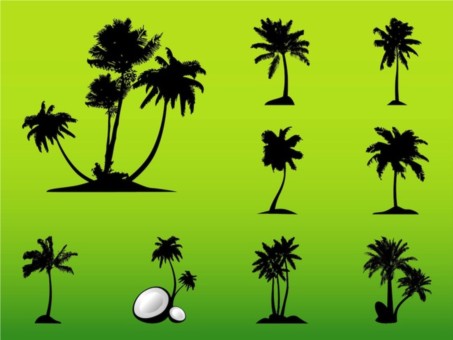Palm Trees vector set