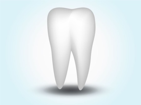 Tooth vectors