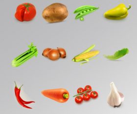 Vegetable realistic vector