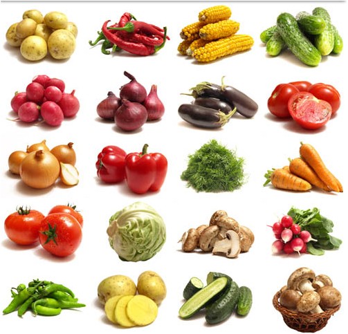 Vegetables graphic vector graphics