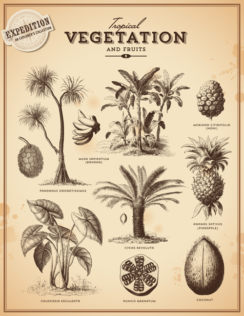 Vegetation vector free download