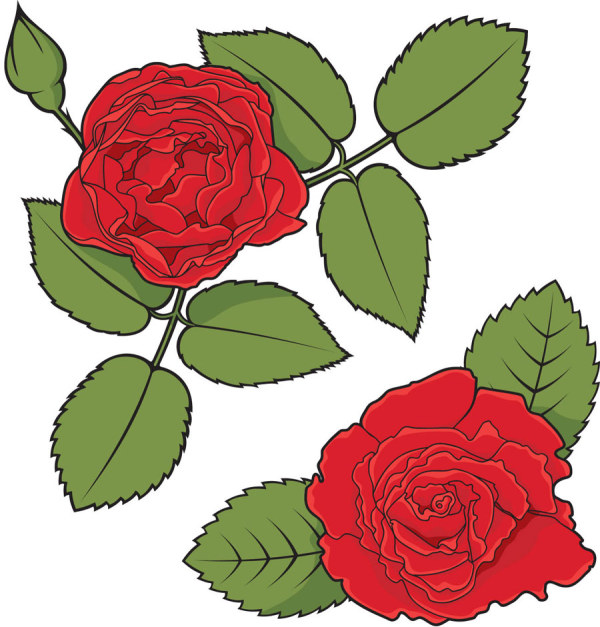 Vintage rose 2 vectors