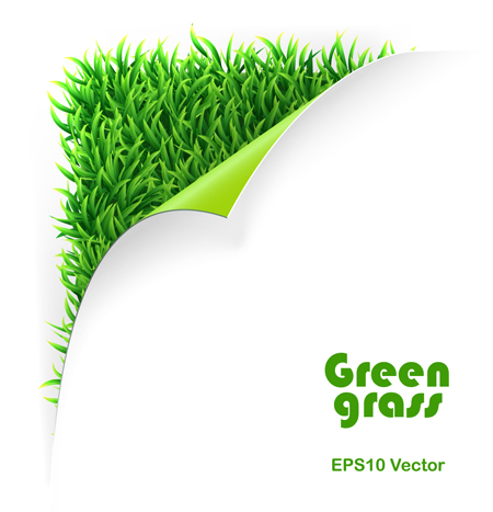 Vivid Green grass 1 vector