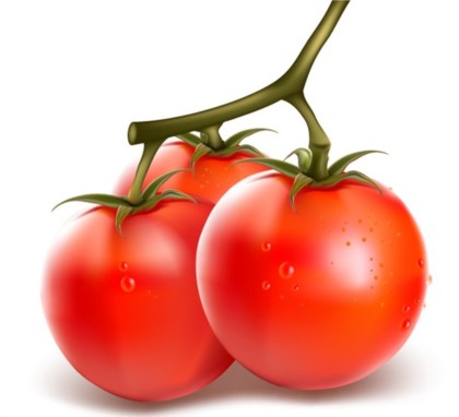 Vivid tomato and eggplant vector set
