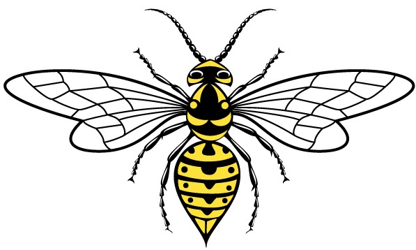 Wasp Image vector