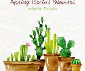 Watercolor spring succulents potted vector