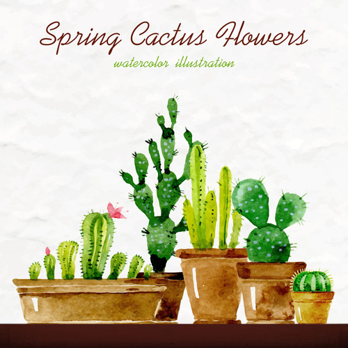 Watercolor spring succulents potted vector