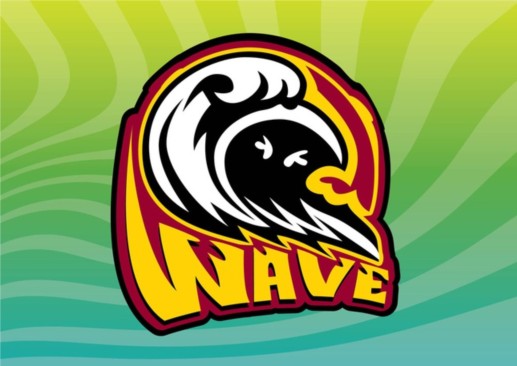 Wave Icon vector material