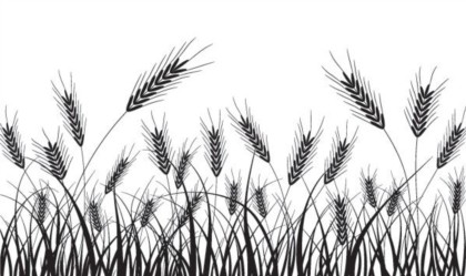 Wheat black silhouette vector