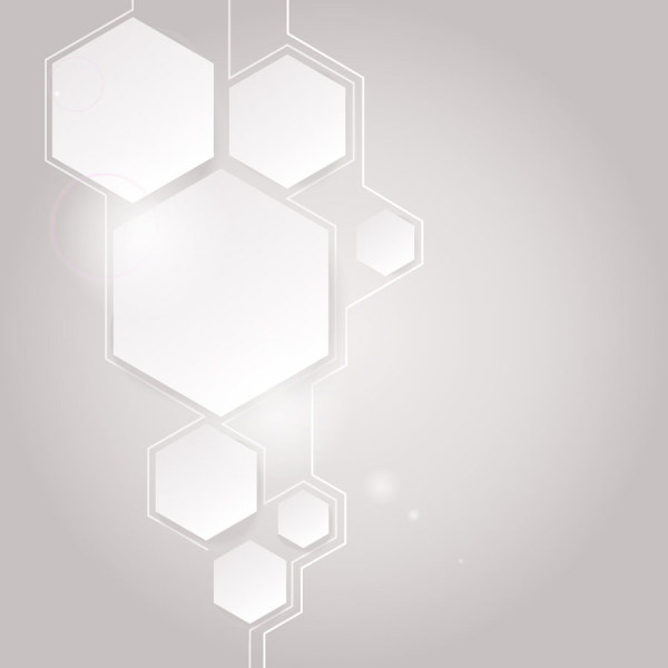 White Hexagon background vector graphics