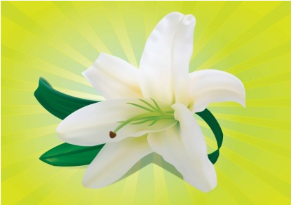 White Orchid free shiny vector