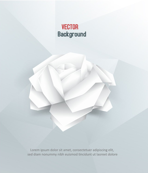 White rose background design vectors