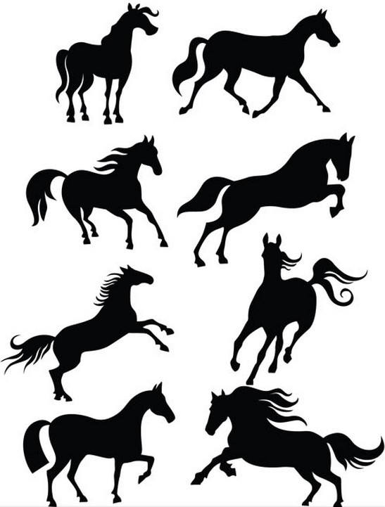 Wild Horses graphic vector