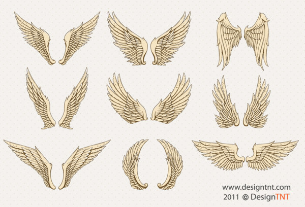 Wing vectors graphics