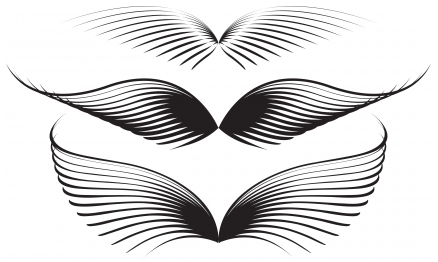 Wing graphics vector design