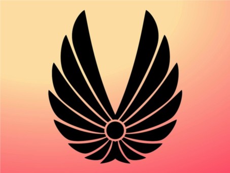 Wings Icon vector