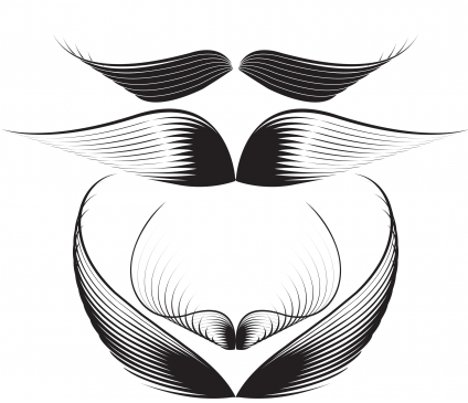 Wings set Illustration vector