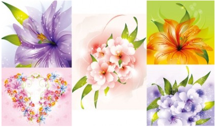 beautiful flowers design vectors