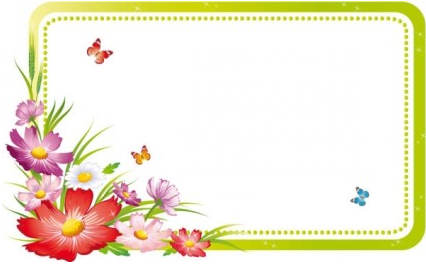 beautiful flowers and lace 05 set vector