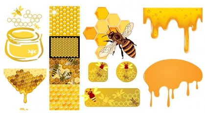 bee honey honeycomb creative vector