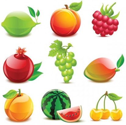 crystal fruit 2 vector graphic