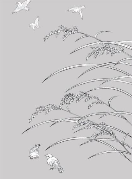 drawing Rice and sparrows vector