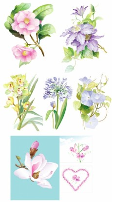 elegant watercolor flowers vector