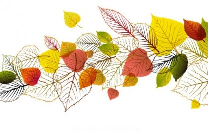 exquisite leaf background 04 vector