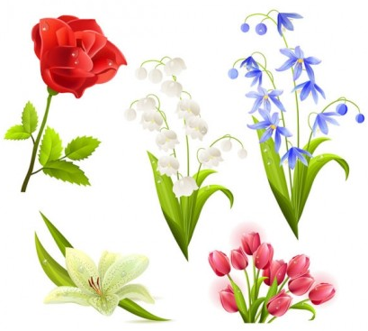 flower beautiful 5 vector graphics