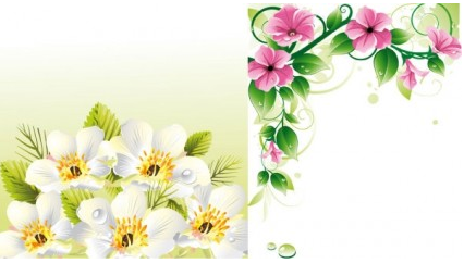 flower border background vector