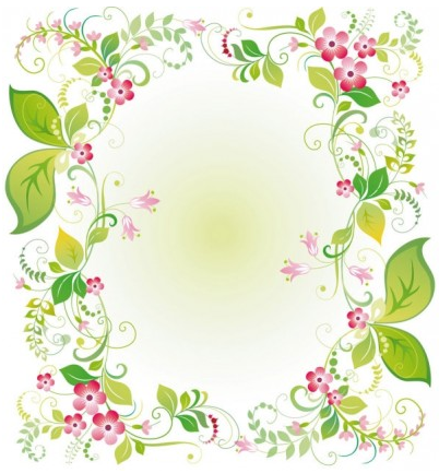 flowers and lace 03 vector