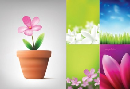flowers and plant vectors