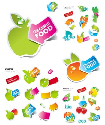fruits and vegetables vectors graphics