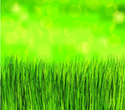 green grass background vectors