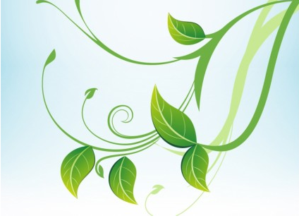 green leaves graphic vectors