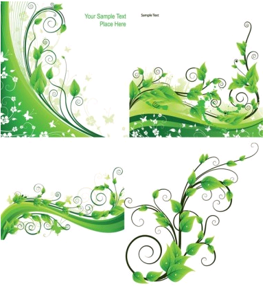 green rattan plant vector
