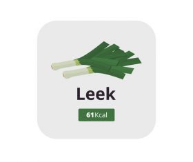 leek vector icon
