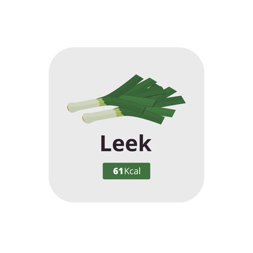 leek vector icon