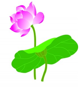 lotuscg imitate vector