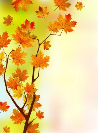 maple leaf background 04 vector