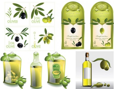 olive oil vector