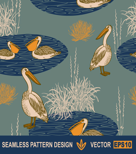 pelican seamless pattern vectors graphic
